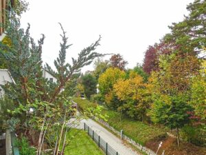 Ausblick