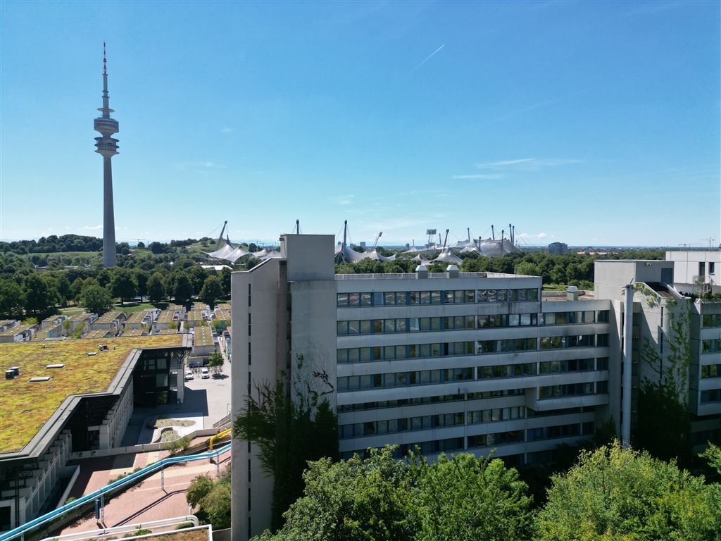 Lage, Umgebung