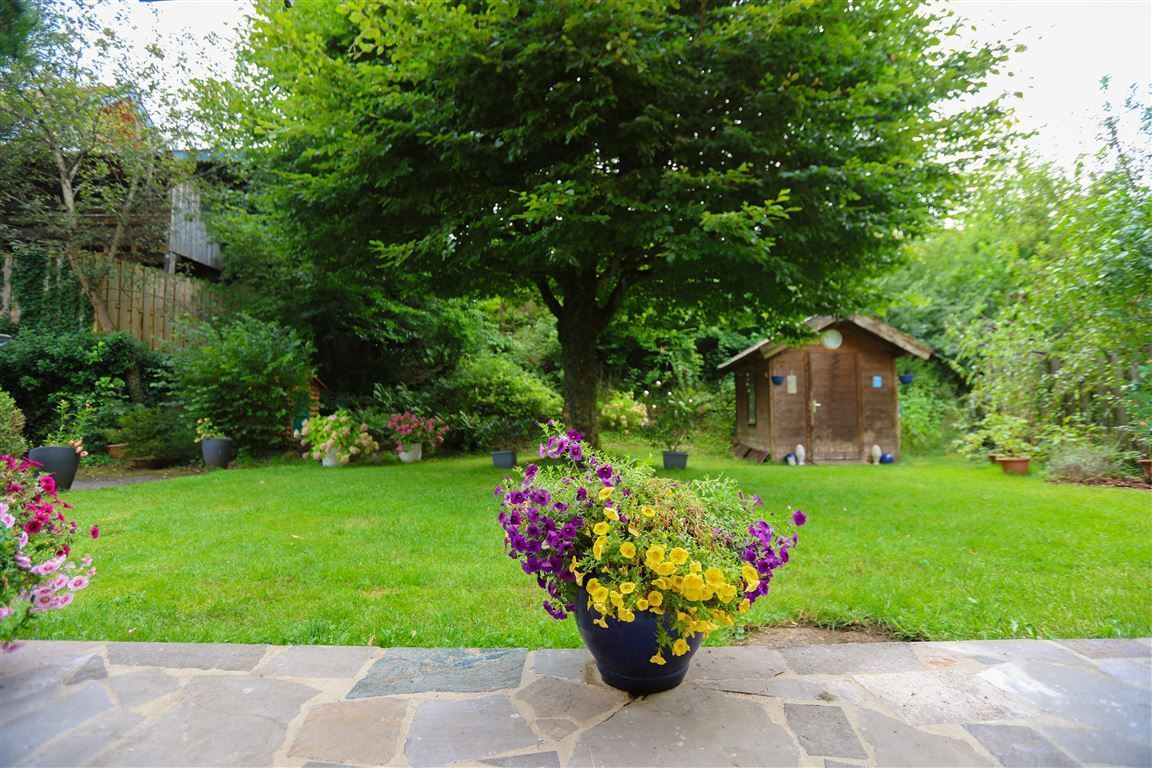 Blick  Terrasse 1EG