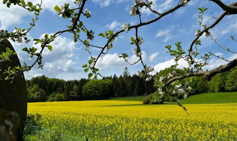 Baugrundstück Starnberg