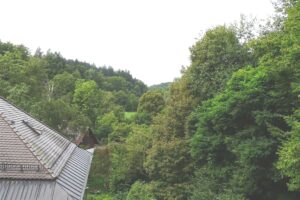 Blick Maisinger Schlucht