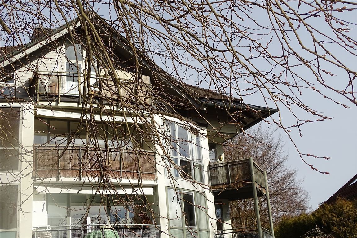 Ansicht vom gem. Garten