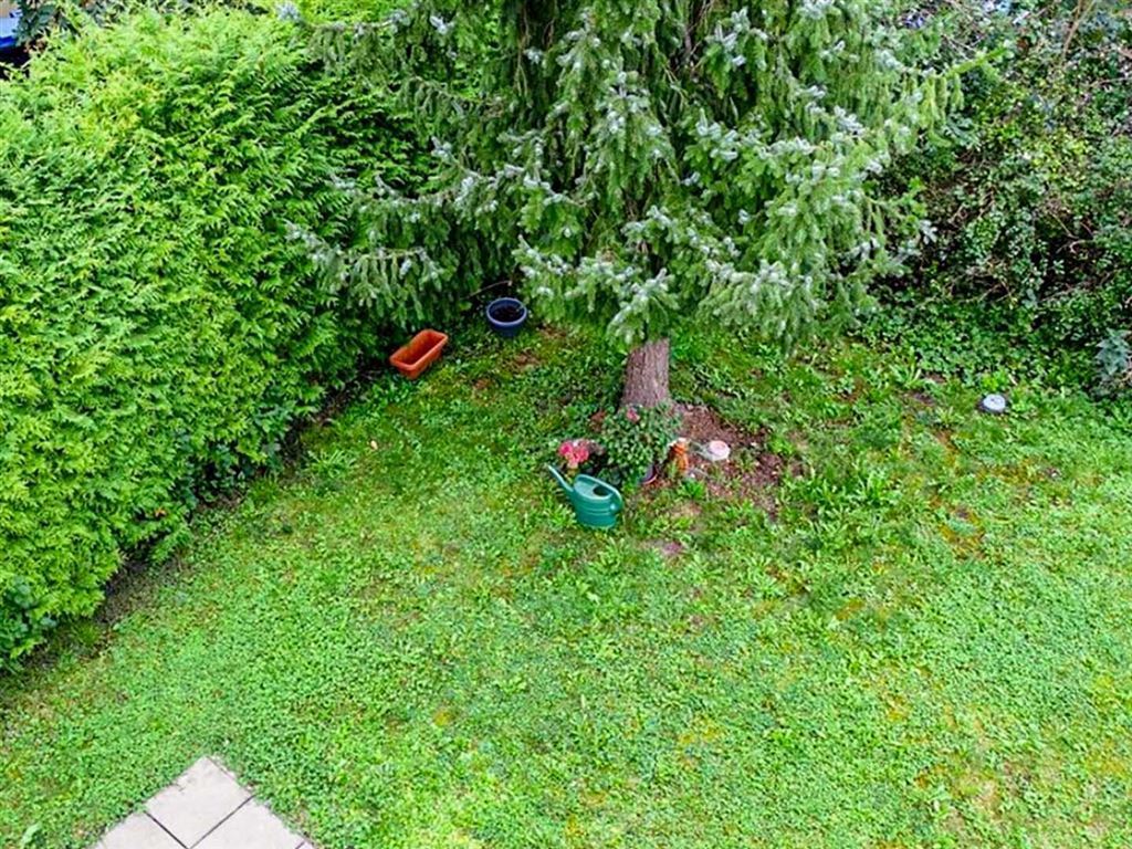 Blick in gem. Garten