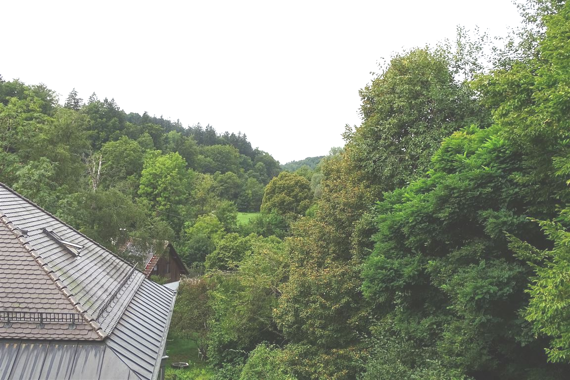 Blick Maisinger Schlucht