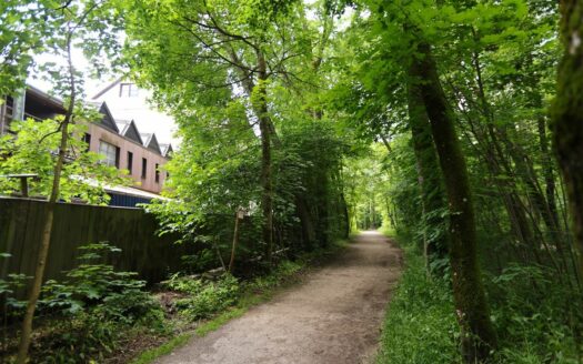 Blick zu den Isarauen