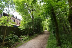 Blick zu den Isarauen