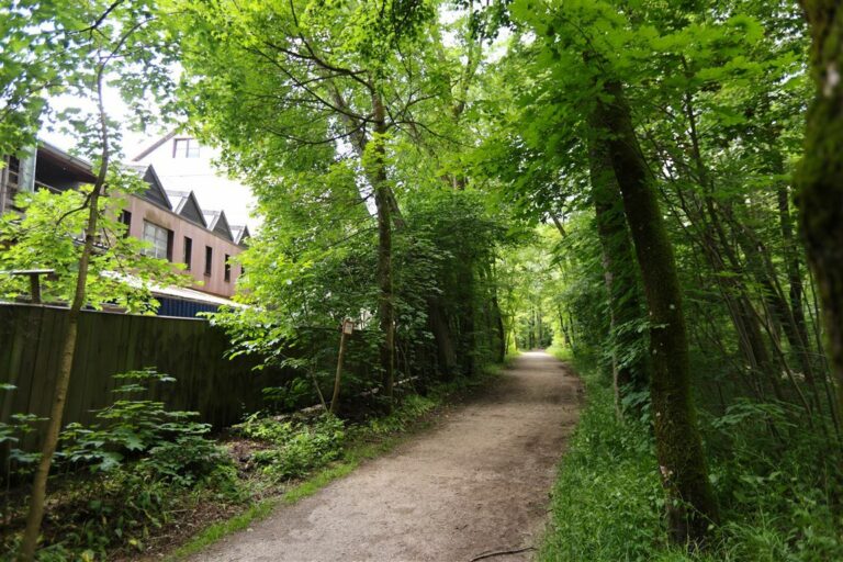 Blick zu den Isarauen