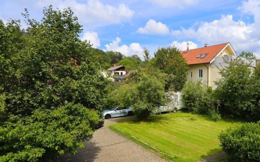 Garten vorm Haus