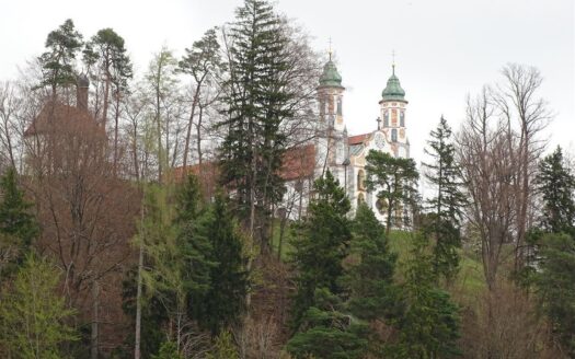 Blick