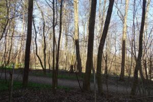 Außblick zur Isar