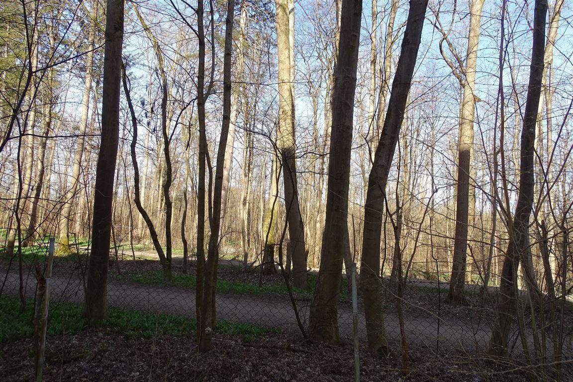 Außblick zur Isar