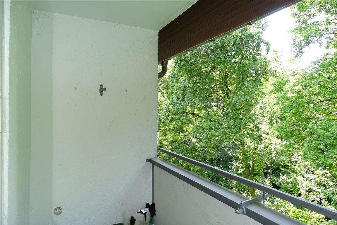 Blick zur Isar