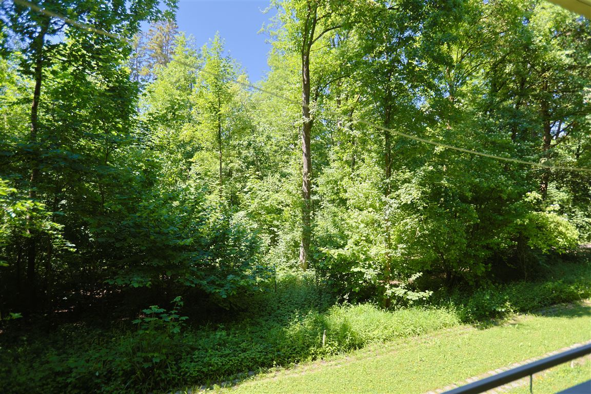 Blick im Gemeinschaftsgarten