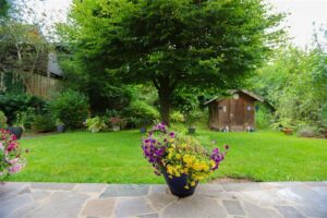 Blick  Terrasse 1EG