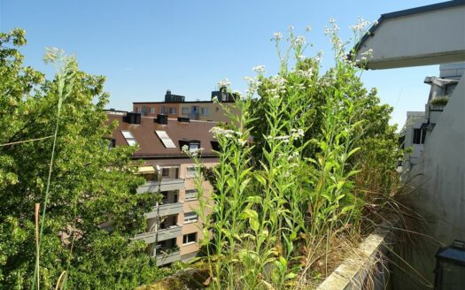 Ausblick