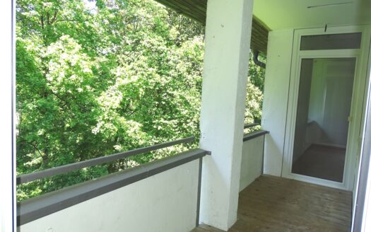 Ausblick