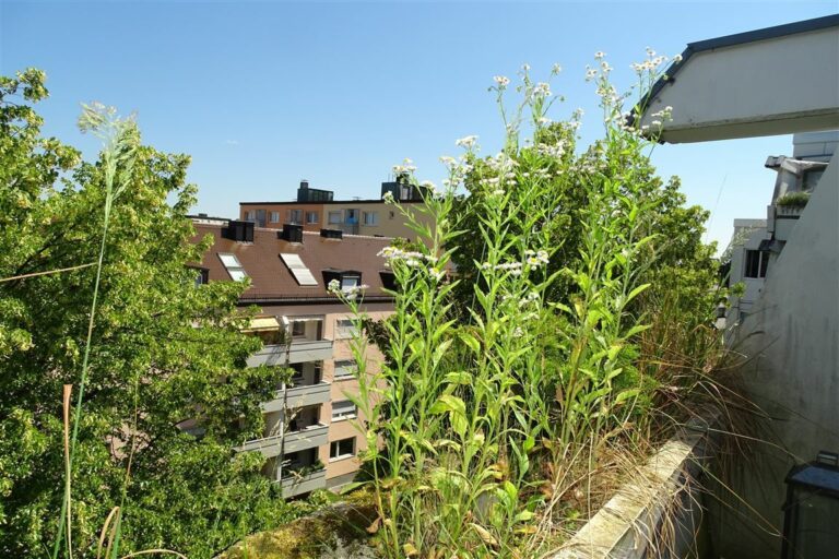 Ausblick