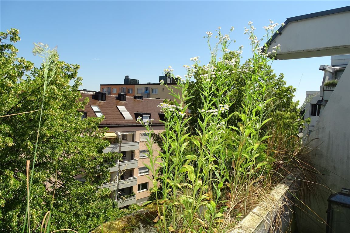 Ausblick