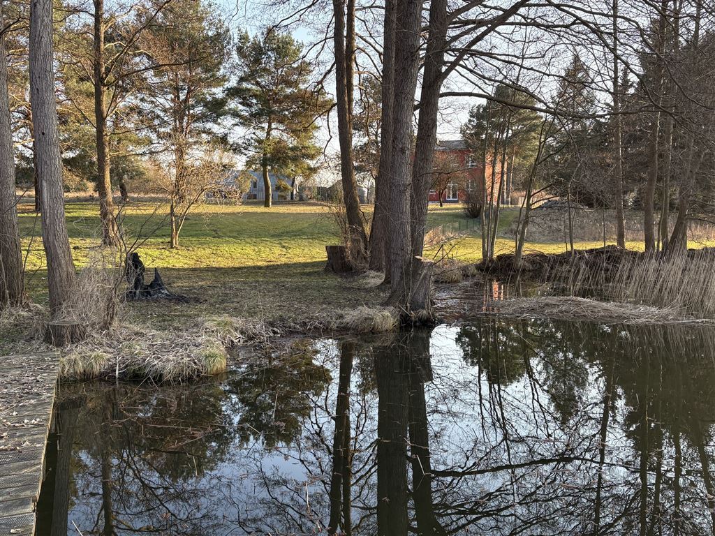 Blick vom See zum Haus