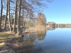 wunderbare Ruhe am See