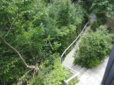 Terrasse EG