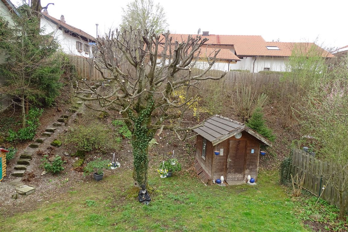 DSC05880