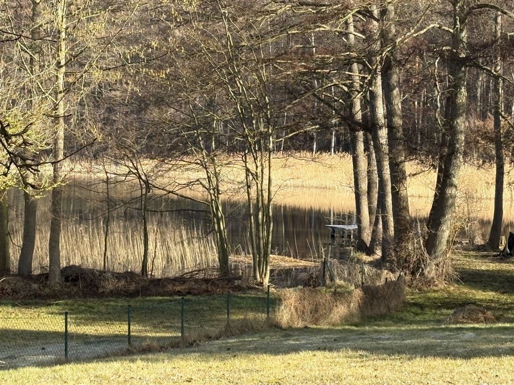 Entspannung pur