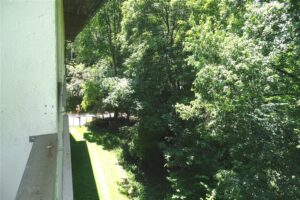 Blick im Gemeinschaftsgarten