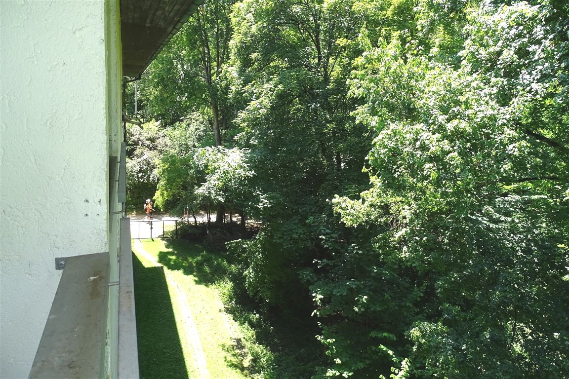 Blick im Gemeinschaftsgarten