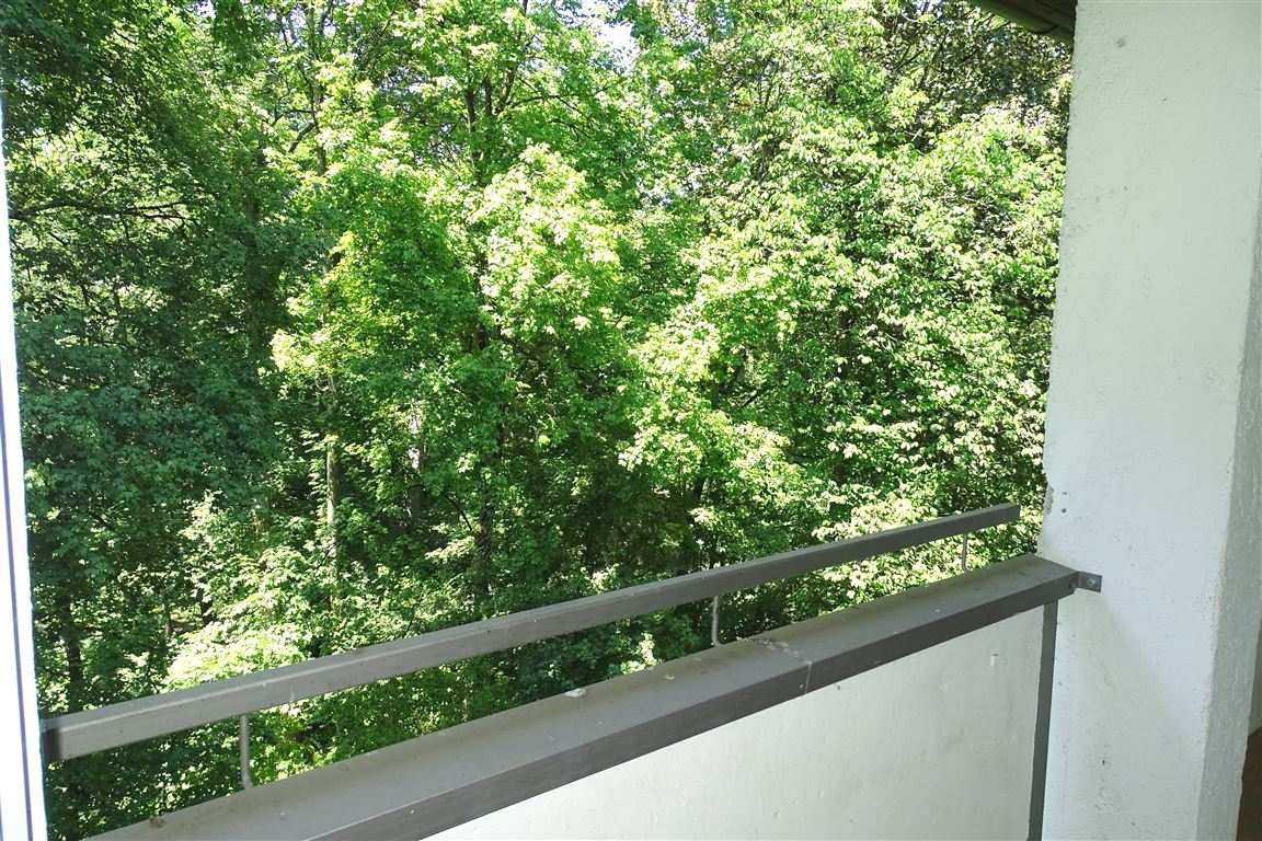 Blick in den Isarauen