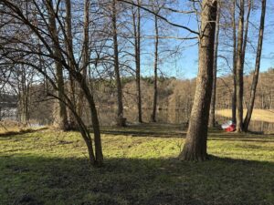 Natur pur