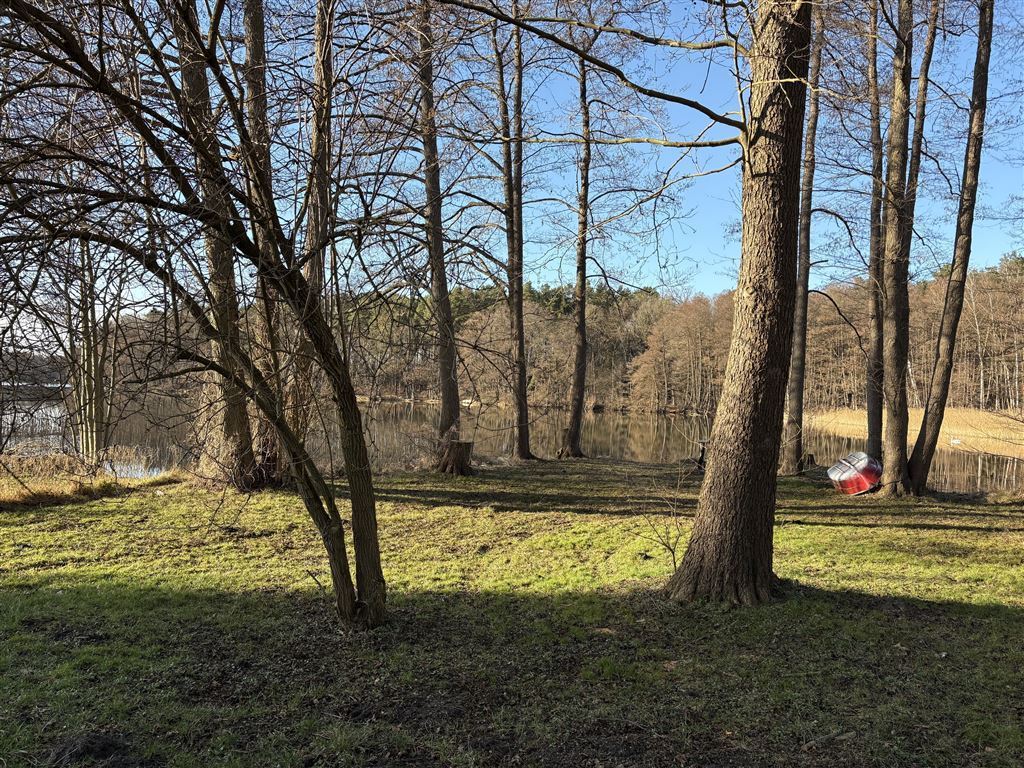 Natur pur