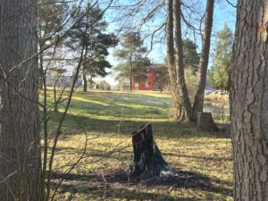 Blick vom Grundstück