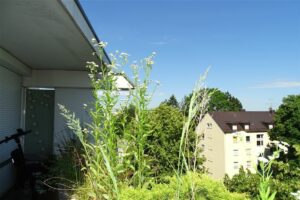 Ausblick