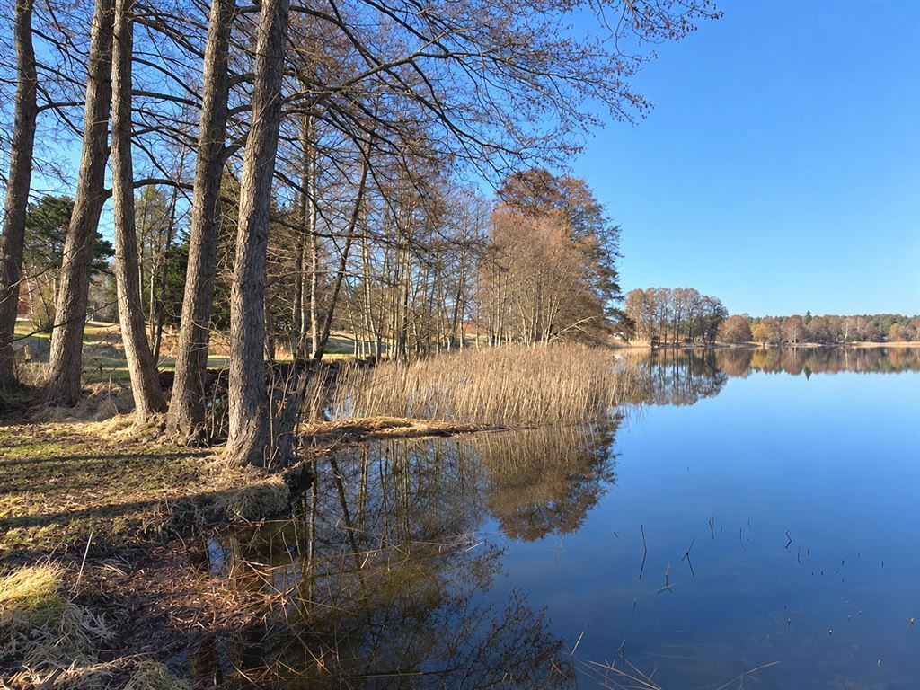 wunderbare Ruhe am See