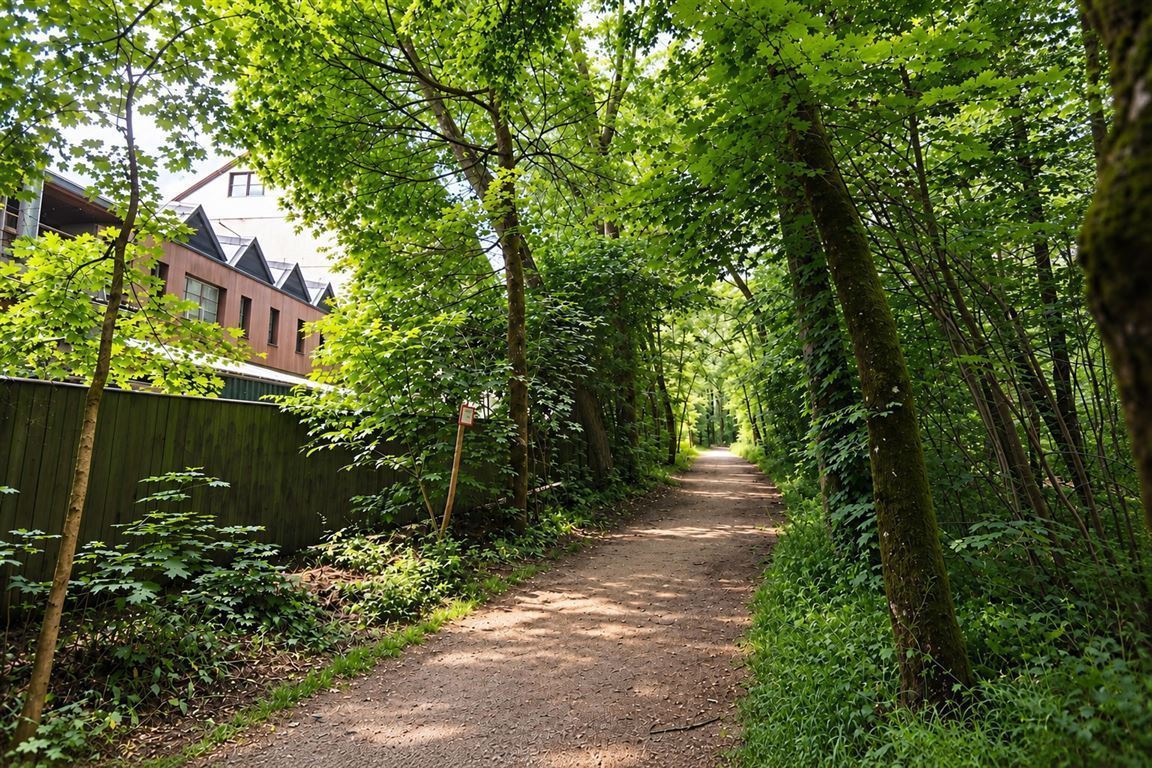 Blick zu den Isarauen